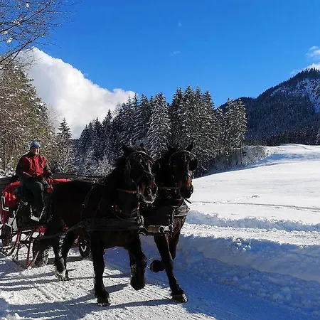 Seehaus Winkler Daire