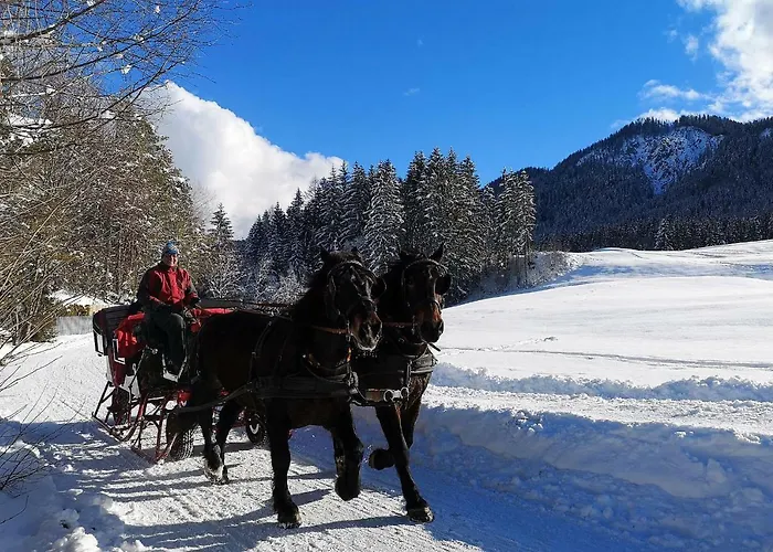 Seehaus Winkler Apartment